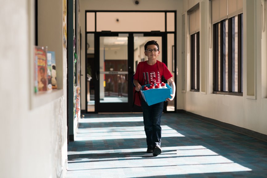 A Simple Self-Regulation Trick