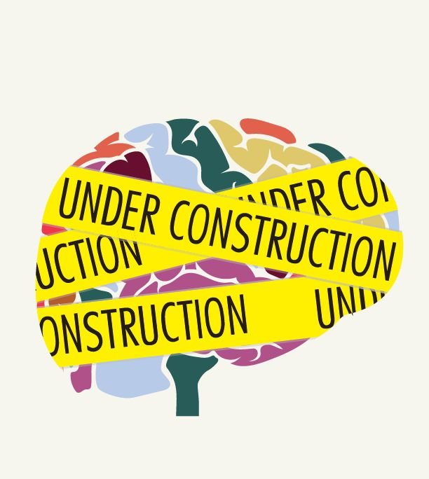 Brain Under Construction