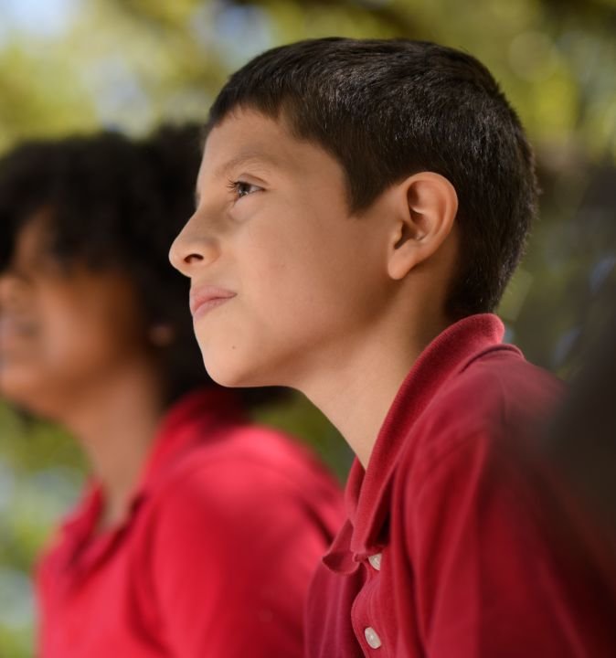 Mindful Observation