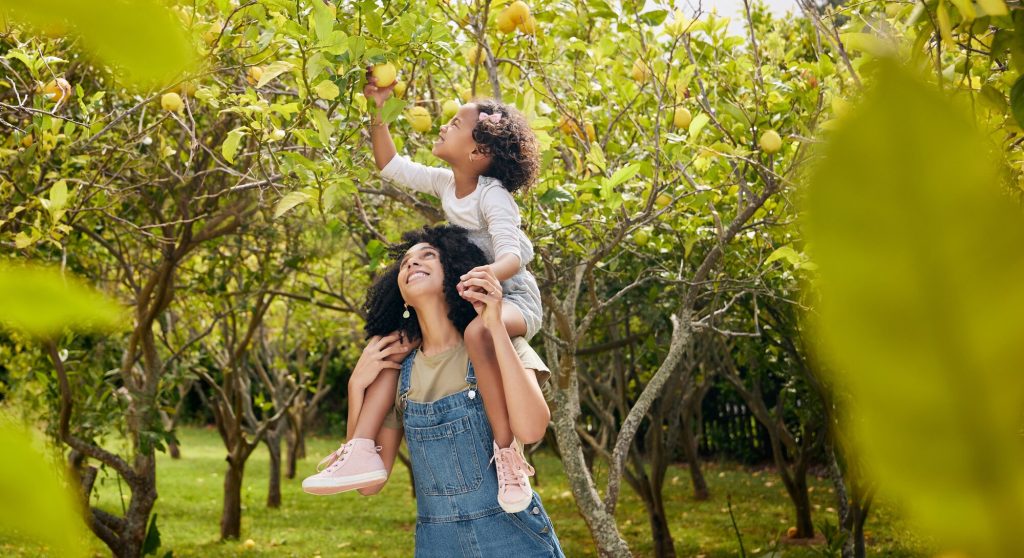 Squeeze the Day Family Fun Activities